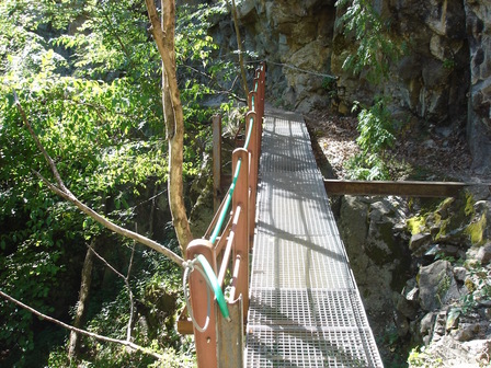 Première passerelle