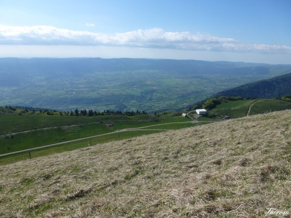 Grand Colombier (21)