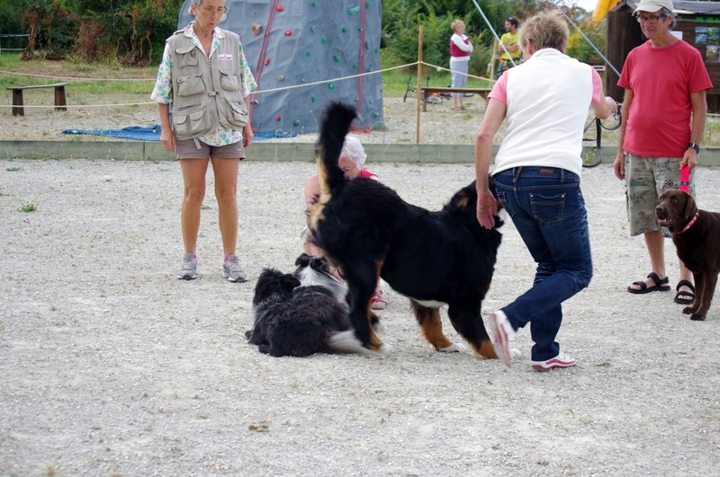 Entrainement du dimanche 29 juillet 2012