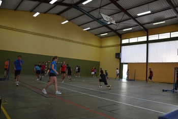 Badminton stage 