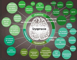Tableaux récapitulatifs décrivant la dysgraphie, la dyspraxie, la dyscalculie et la dyslexie 