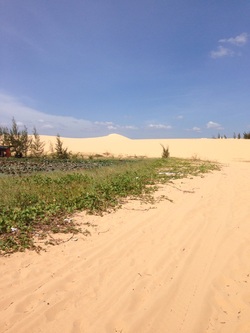 Dunes blanches , au milieu , un lac