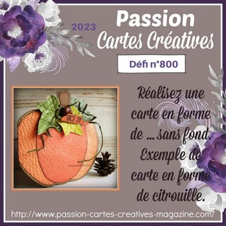 Passion Carteds Créatives#800 !