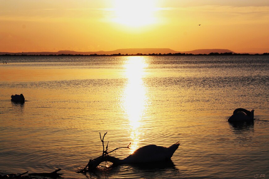Coucher de soleil sur l'étang de Bolmon