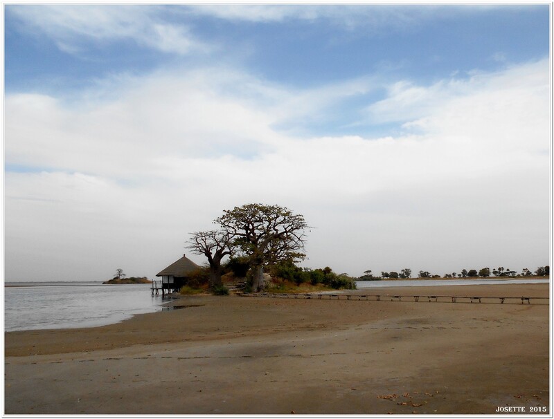 Pointe de Sangomar- DJIFFER 