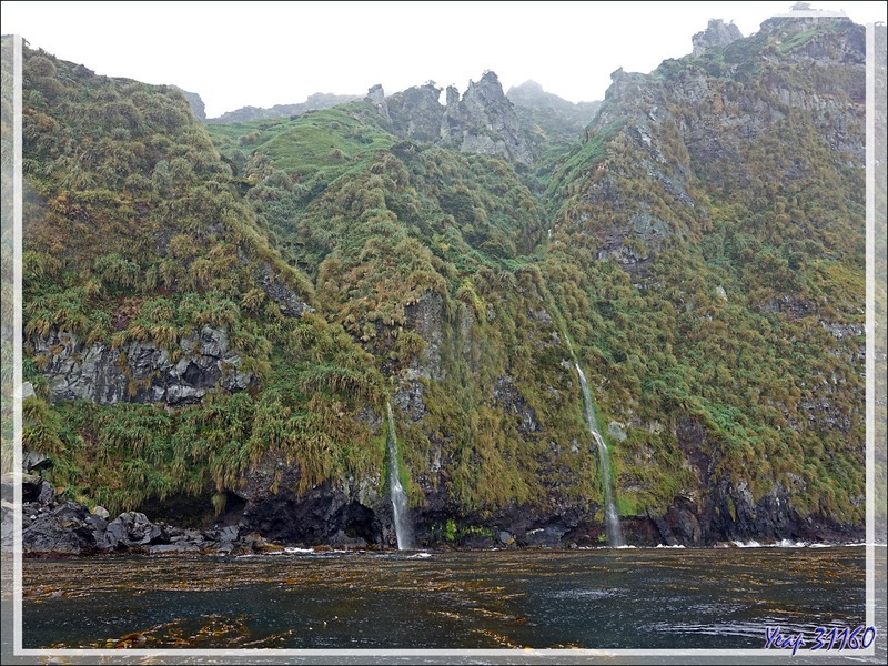 Côte entre Raised Beach et Archway Rock - Gough Island - Tristan da Cunha