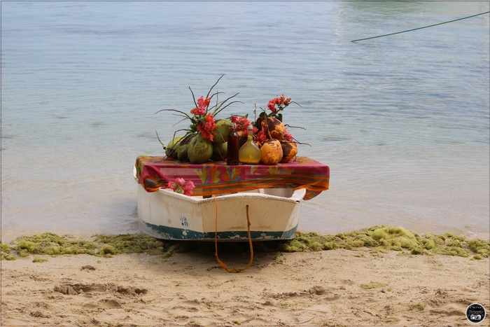 Île aux Bénitiers, île Maurice 