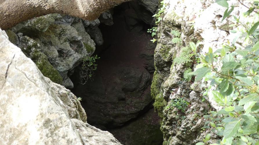 Aucune description de photo disponible.