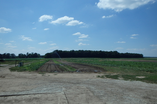 La ferme Bio de Jeff.