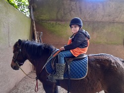 maternelle : activité Poney - séance 1