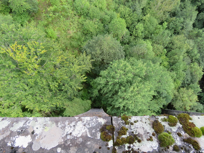 Riom-ès-Montagnes (fin).