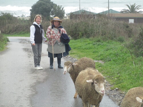 PETITES BALADES DANS MA CAMPAGNE......PORTUGAISE