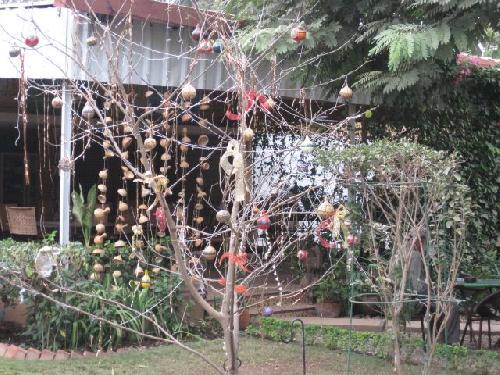 Burkina Un Paradis à Ouaga Arbre de Noël