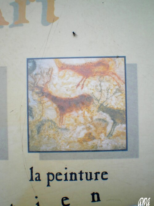 Gottes de Lascaux II, il y a bien des années