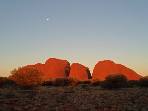 Dans l'Outback Jours 5 et 6 : Les Monts Olgas et Uluru