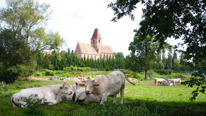 Département du Bas Rhin