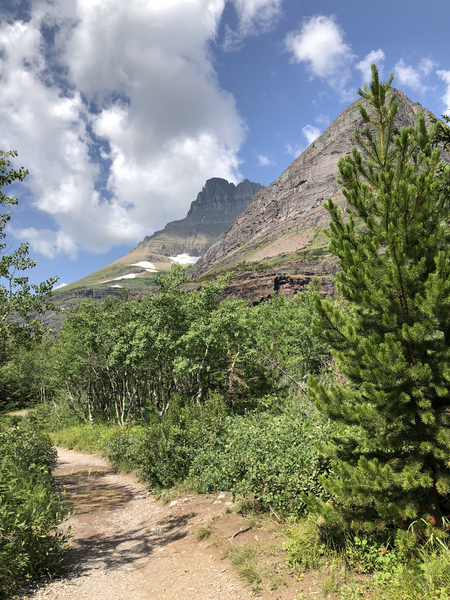 Swiftcurrent pass trail