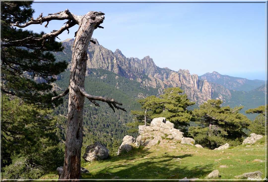 Aiguilles de Bavella - Corse