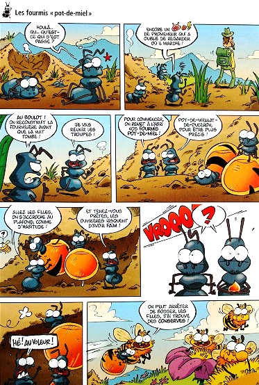 Les Insectes En Bd T 03 Bd Les Chroniques De Madoka