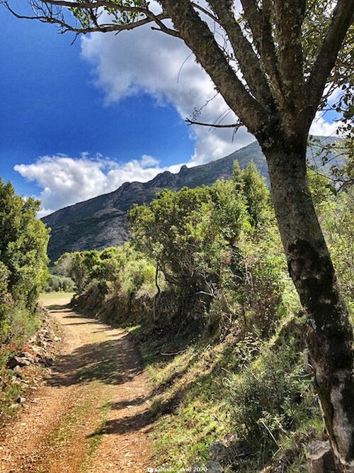 Sentier corse