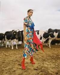 mode fashionmeadow cow 