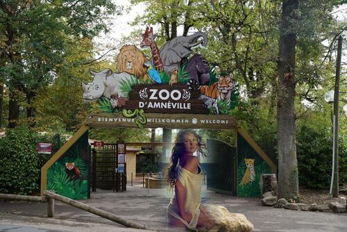 Balade au zoo