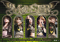 Pochettes des éditions DVD et Blu-ray de la tournée "Monster"