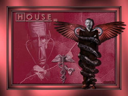 Docteur House