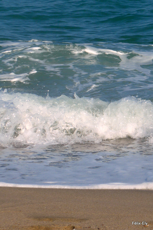 Les vagues de la plage