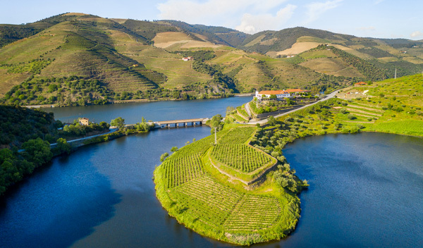 L'Or du Douro