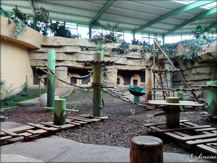 Les enclos des Grands Primates du Zoo de la Palmyre