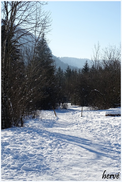 Les cascades du Hérisson 1/2