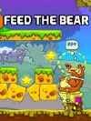 Pochette du jeu « Feed The Bear »