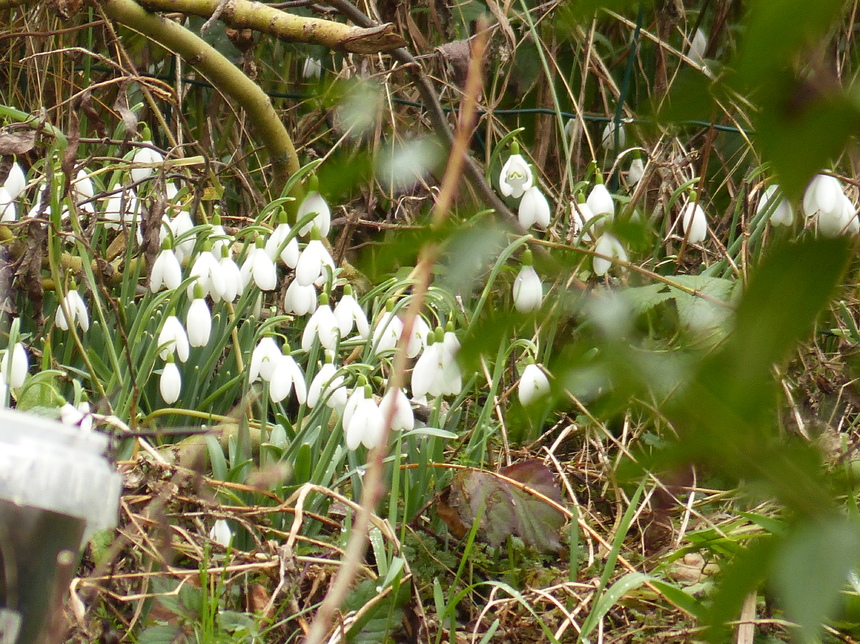 Un petit air de printemps