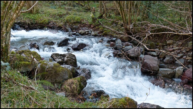 Petite balade en Béarn