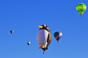 season balloons pingouins balloons 