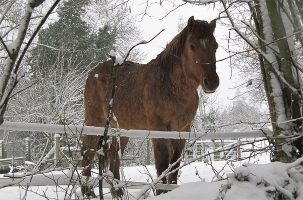 Clichés du village entre neige et dégel