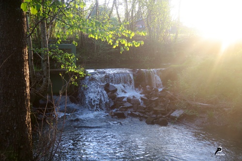 Chute au soleil couchant 