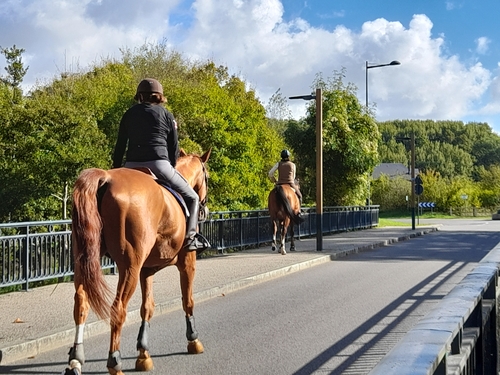 Tournedos sur Seine