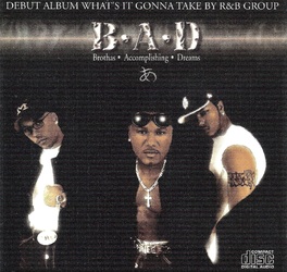 B.A.D (Brothers Accomplishing Dreams) Presents - What's It Gonna Take (1999)