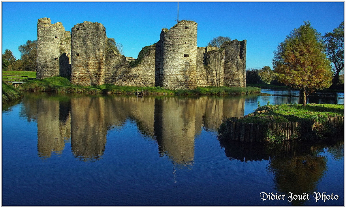 (85) Vendée - Commequiers (4) - Château