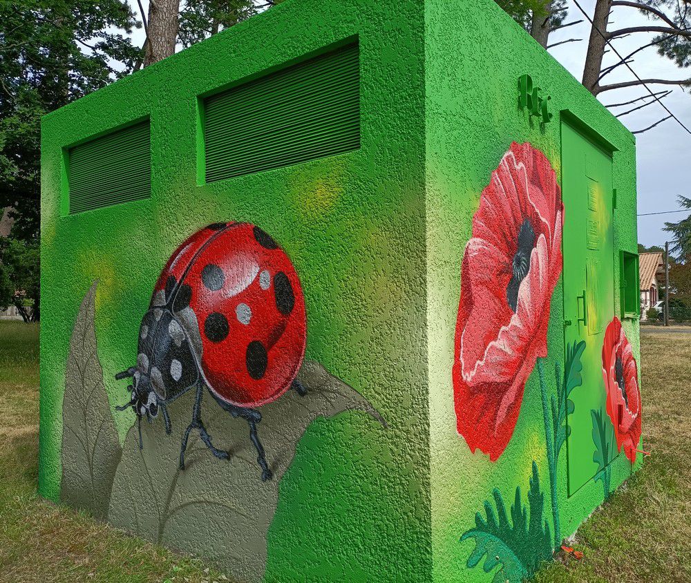 Street-art dans la ville - Coquelicots, oiseaux et coccinelle...