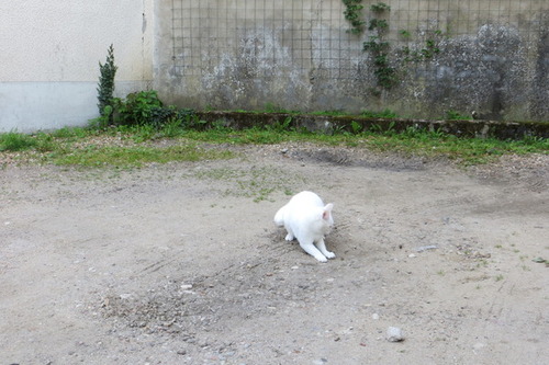 Moi j'm'éclate dans la cour avec les petits cailloux !!!