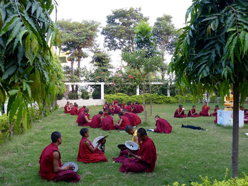 des moines en prière dans le parc d'un temple bouddhiste;
