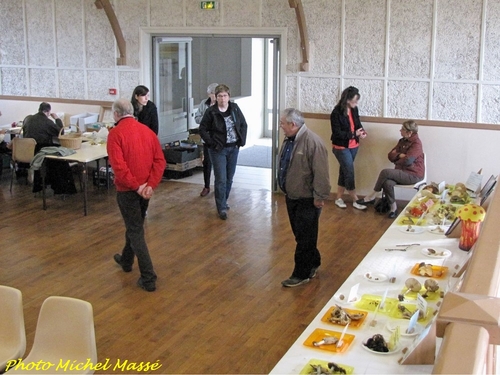 La Société Mycologique du Châtillonnais a organisé une exposition de très beaux champignons à Mussy sur Seine...