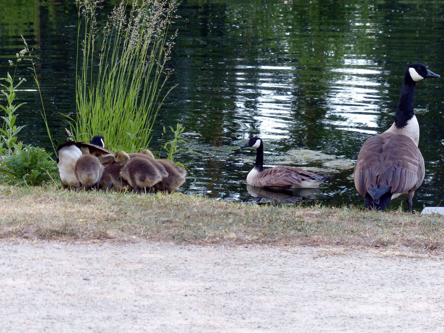 Balade en famille