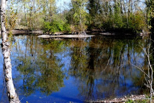 Le plan d’eau aux reflets