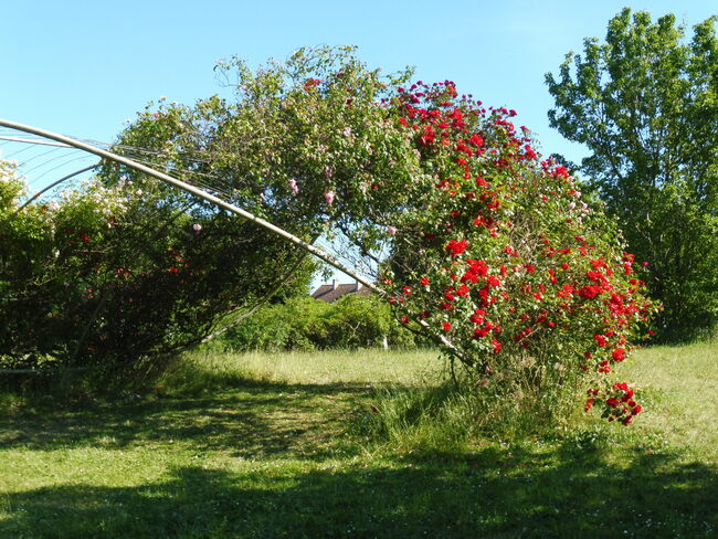 La Roseraie de Grand Quevilly