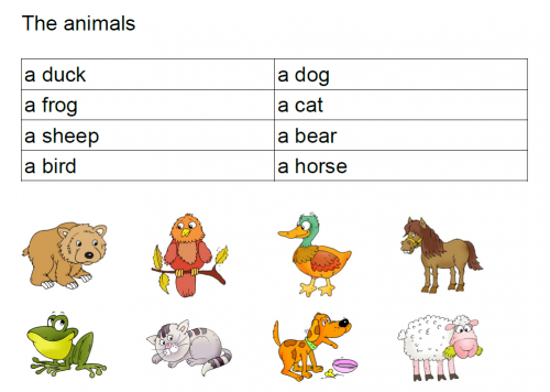 the animals chap 2T1