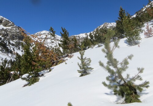 Balade luge : vallon Rialb (Ordino) - Andorre